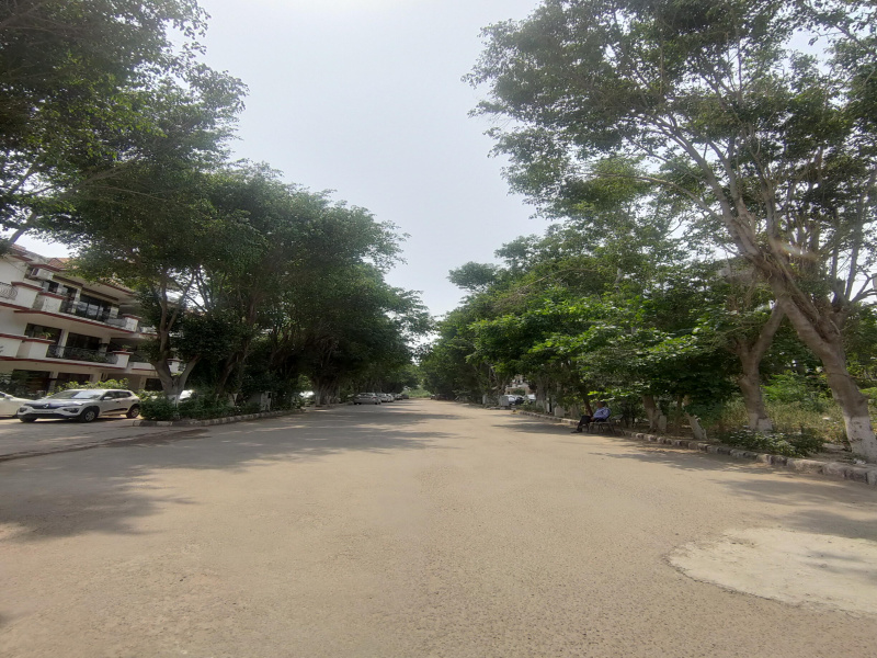 3 BHK 1715 Sq.ft. Apartment for Sale in Sector 115 Mohali