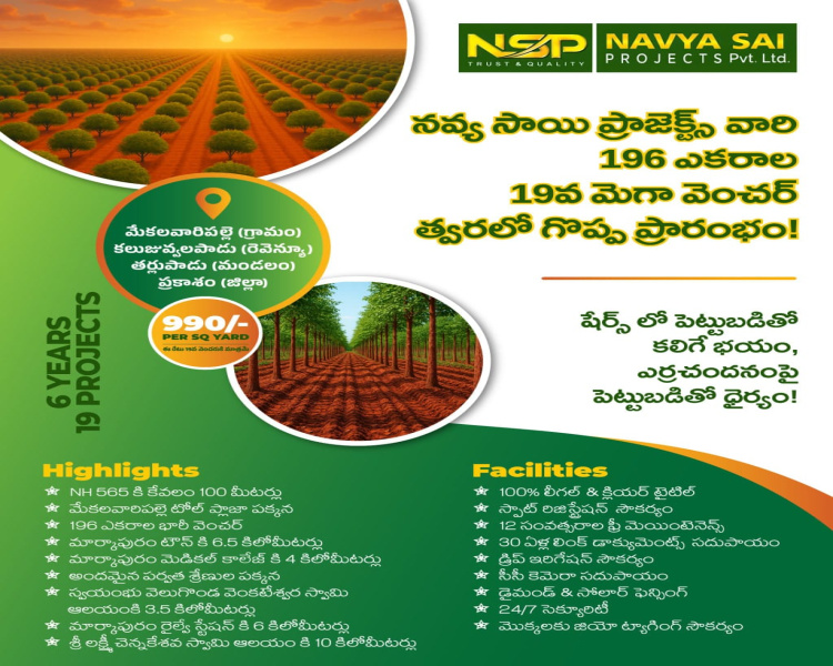  Agricultural Land 22 Sq. Yards for Sale in Markapur, Prakasam
