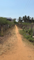  Residential Plot for Sale in Ponnamaravathi, Pudukkottai