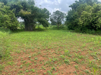  Agricultural Land for Sale in Songadh, Tapi