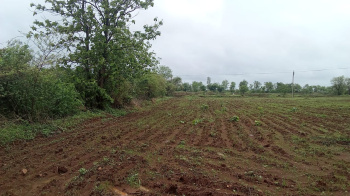  Agricultural Land for Sale in Songadh, Tapi