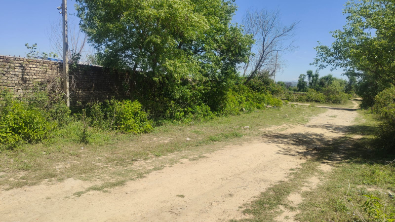 54000 Sq.ft. Commercial Land for Sale in Vijaypur, Jammu