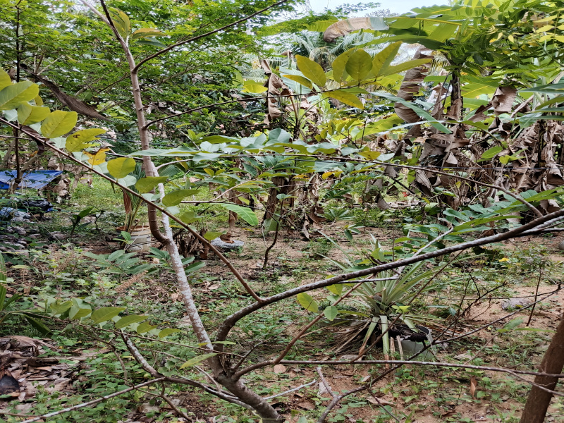  Residential Plot 9 Cent for Sale in Kazhakoottam, Thiruvananthapuram