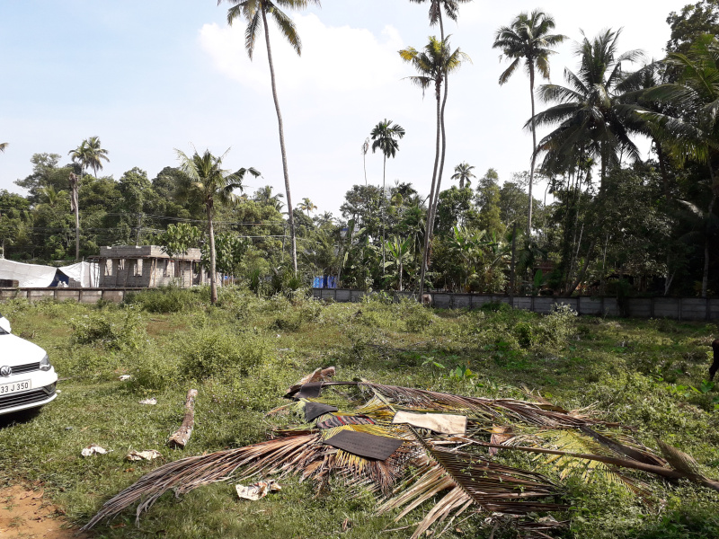  Residential Plot 41 Cent for Sale in Thuravoor Alappuzha