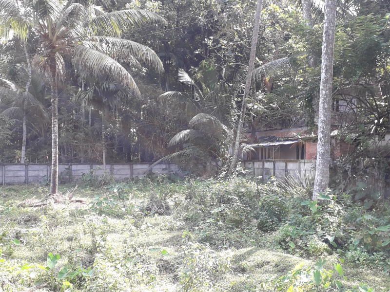  Residential Plot 41 Cent for Sale in Thuravoor Alappuzha