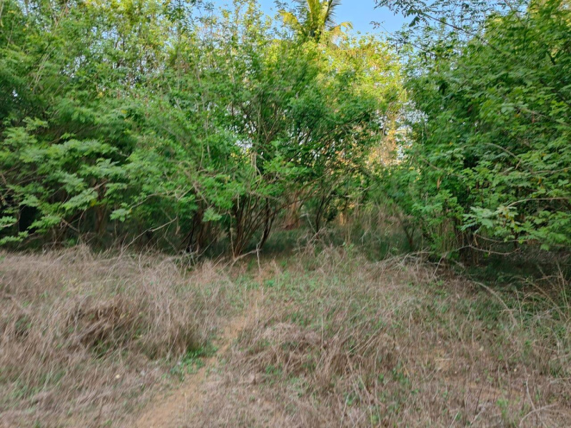  Residential Plot 38 Cent for Sale in Chitpady, Udupi