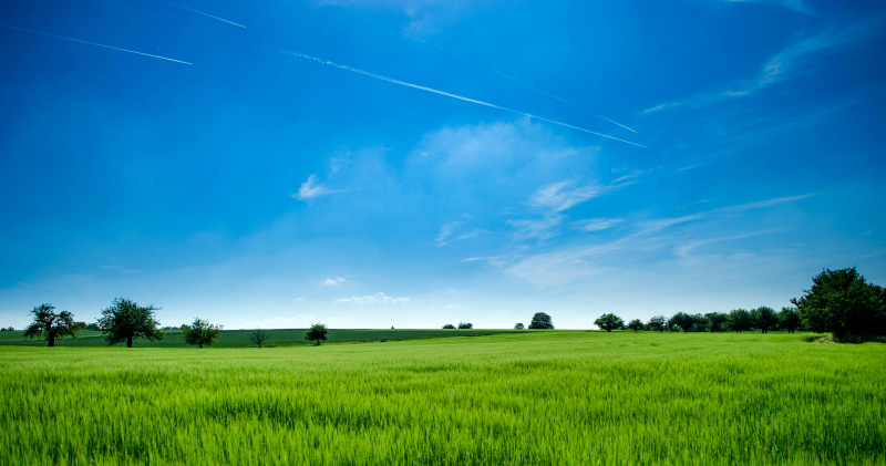  Residential Plot 68 Cent for Sale in Brahmavar, Udupi