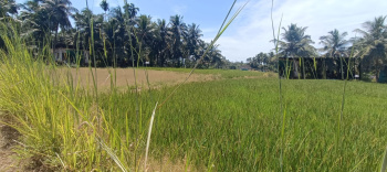  Residential Plot for Sale in Brahmavar, Udupi