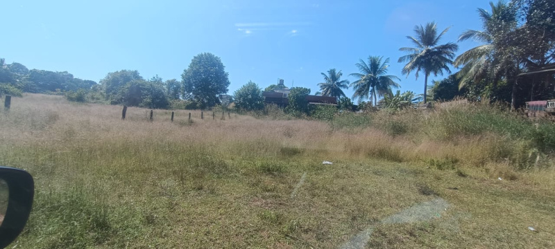  25 Cent Residential Plot for Sale in Indira Nagar, Udupi