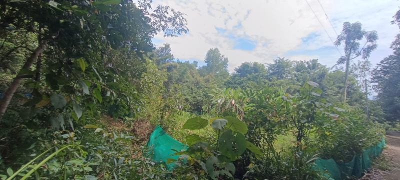  1 Acre Residential Plot for Sale in Chitpady, Udupi