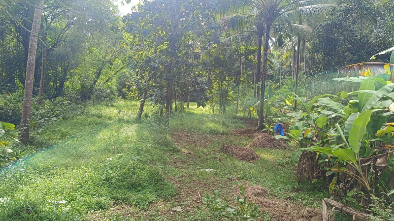  63 Cent Residential Plot for Sale in Perampalli, Udupi