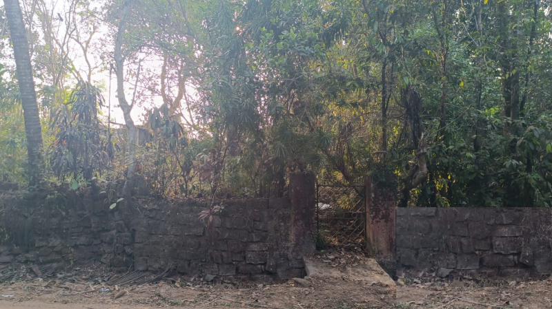  11 Cent Residential Plot for Sale in Parkala, Udupi