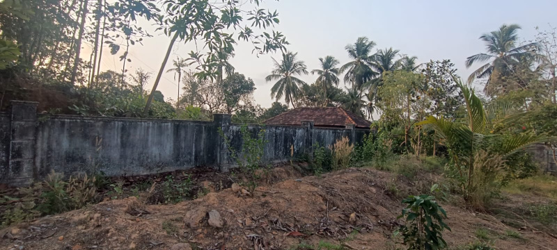  10 Cent Residential Plot for Sale in Parkala, Udupi