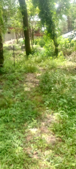  Commercial Land for Sale in Gharoh, Dharamsala