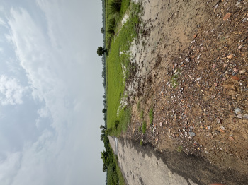  Agricultural Land for Sale in Kishorpur, Palwal