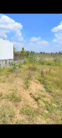  Agricultural Land for Sale in Kodumudi, Erode