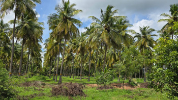  Residential Plot for Sale in Virattipathu, Madurai