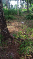  Residential Plot for Sale in Ponnani, Malappuram