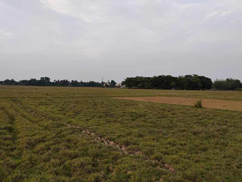  Residential Plot 23 Katha for Sale in Rajbandh, Durgapur