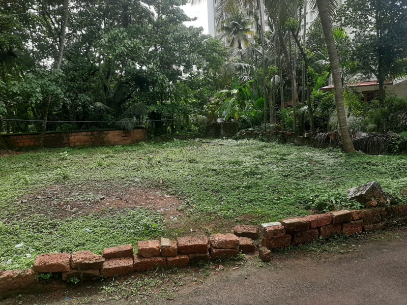  Residential Plot 9 Cent for Sale in Thavakkara, Kannur