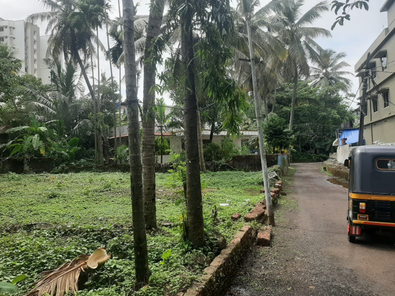  Residential Plot 9 Cent for Sale in Thavakkara, Kannur