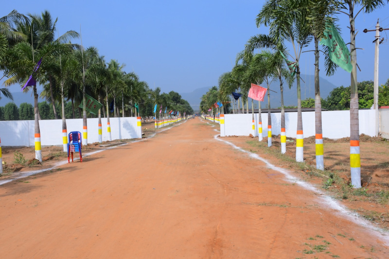  Residential Plot 6999 Sq. Yards for Sale in Nuzvid, Vijayawada