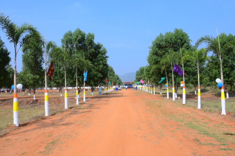  Residential Plot 6999 Sq. Yards for Sale in Nuzvid, Vijayawada