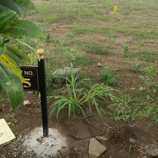  1485 Sq.ft. Residential Plot for Sale in Sadasivpet, Sangareddy