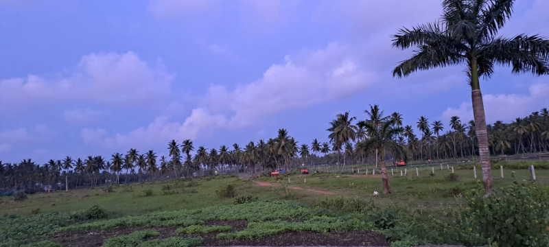  Residential Plot 200 Sq. Yards for Sale in Gunupudi, Bhimavaram