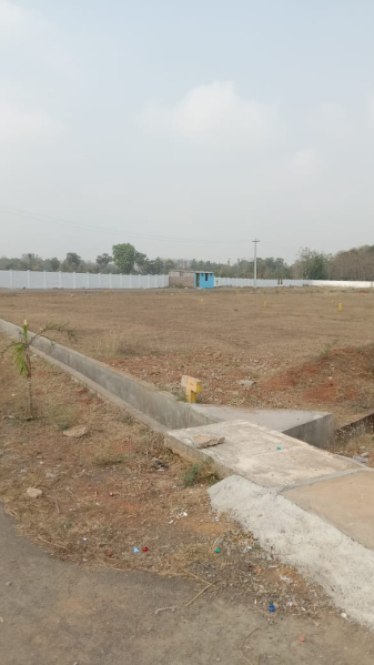  Residential Plot 167 Sq. Yards for Sale in Rajam, Srikakulam