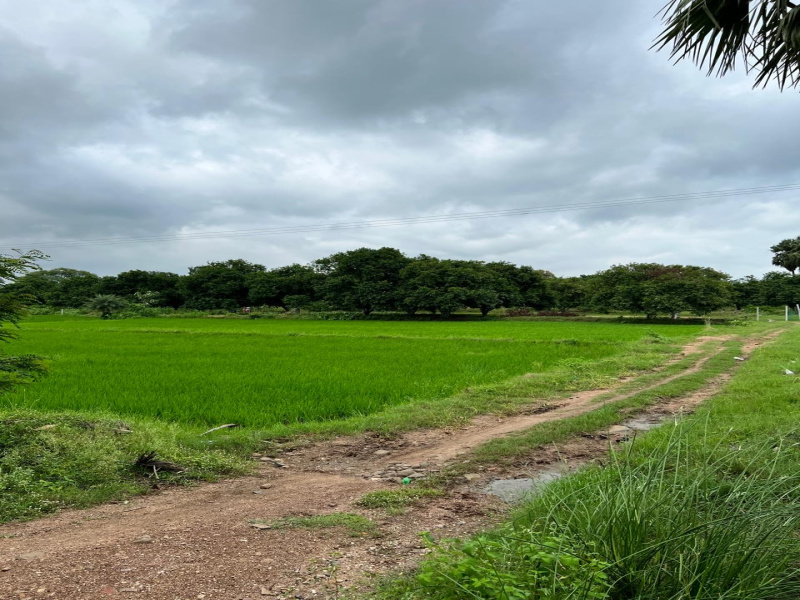  Agricultural Land 5 Acre for Sale in Sultanabad, Peddapalli
