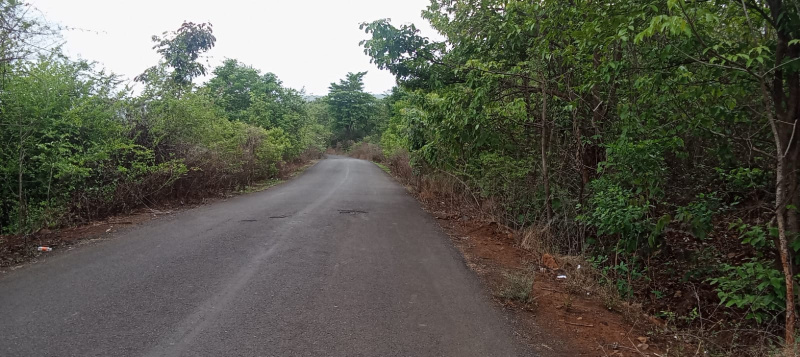  Agricultural Land 21 Acre for Sale in Mhasla, Raigad