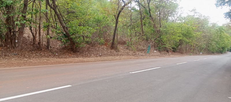  Agricultural Land 5 Acre for Sale in Mhasla, Raigad