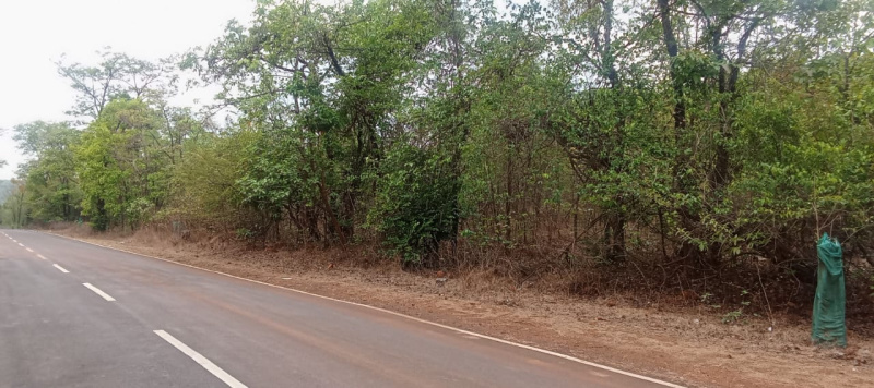  Agricultural Land 5 Acre for Sale in Mhasla, Raigad