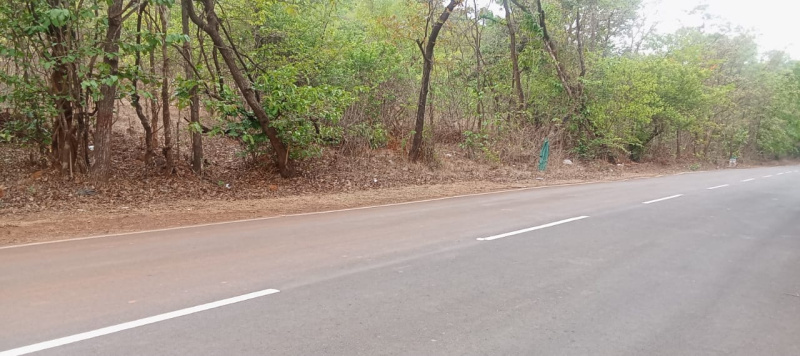  Agricultural Land 5 Acre for Sale in Mhasla, Raigad