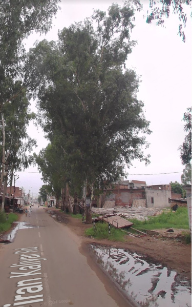  Residential Plot 1350 Biswa for Sale in Piran Kaliyar, Roorkee