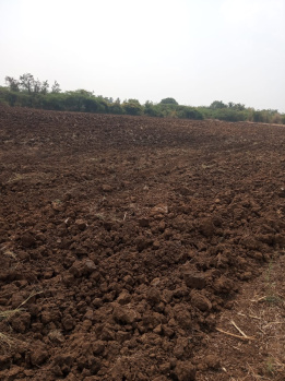  Agricultural Land for Sale in Lakshmeshwar, Gadag