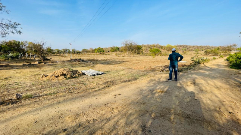  Agricultural Land 2 Acre for Sale in Tandur, Vikarabad