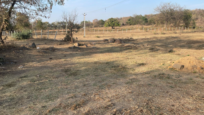  Agricultural Land 2 Acre for Sale in Tandur, Vikarabad