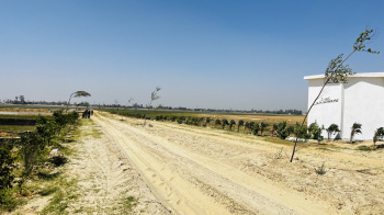  Residential Plot for Sale in Jangal Kauria, Gorakhpur