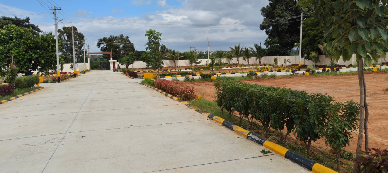 Residential Plot 1200 Sq.ft. for Sale in Jigani Road, Bangalore