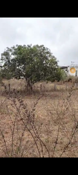  Residential Plot 150 Sq. Yards for Sale in Ramachandranagaram, Vijayawada