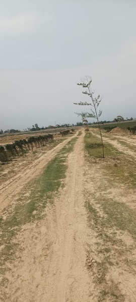  Residential Plot 1000 Sq.ft. for Sale in Hata, Kushinagar