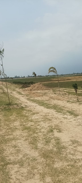  Residential Plot 1000 Sq.ft. for Sale in Hata, Kushinagar