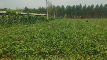  Agricultural Land for Sale in Khariar Road, Nuapada