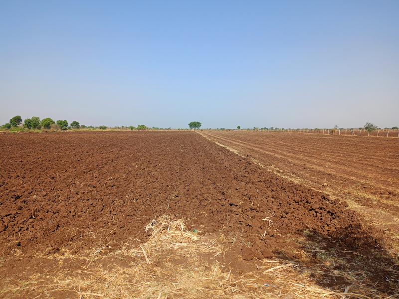  Agricultural Land 16 Bigha for Sale in Palitana, Bhavnagar
