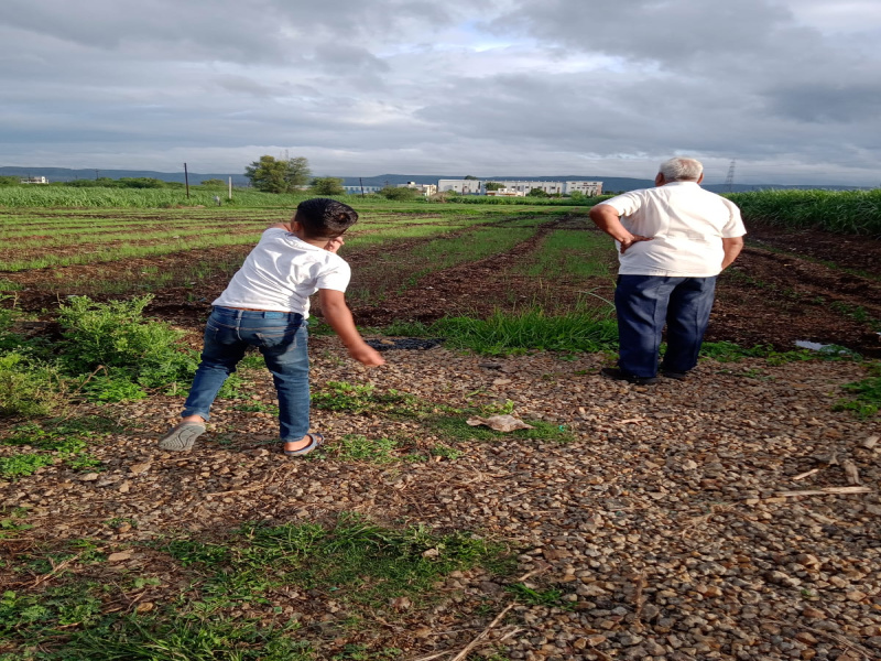  Agricultural Land 2 Acre for Rent in Kolwadi, Pune, 