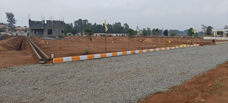  Residential Plot 1200 Sq.ft. for Sale in Hoskote, Bangalore