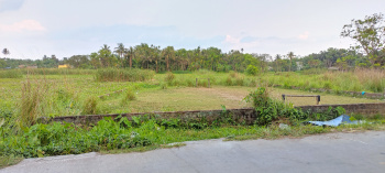  Commercial Land for Sale in Sodepur, Kolkata