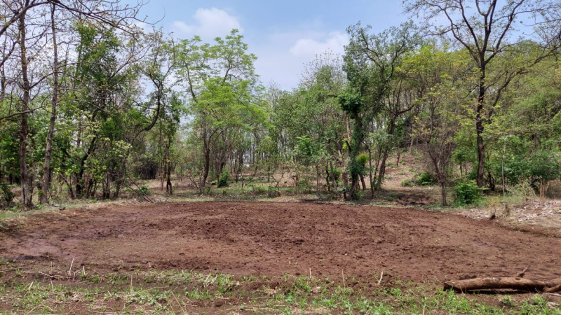 1 BHK Farm House 8 Acre for Sale in Ambivali West, Mumbai Beyond Thane